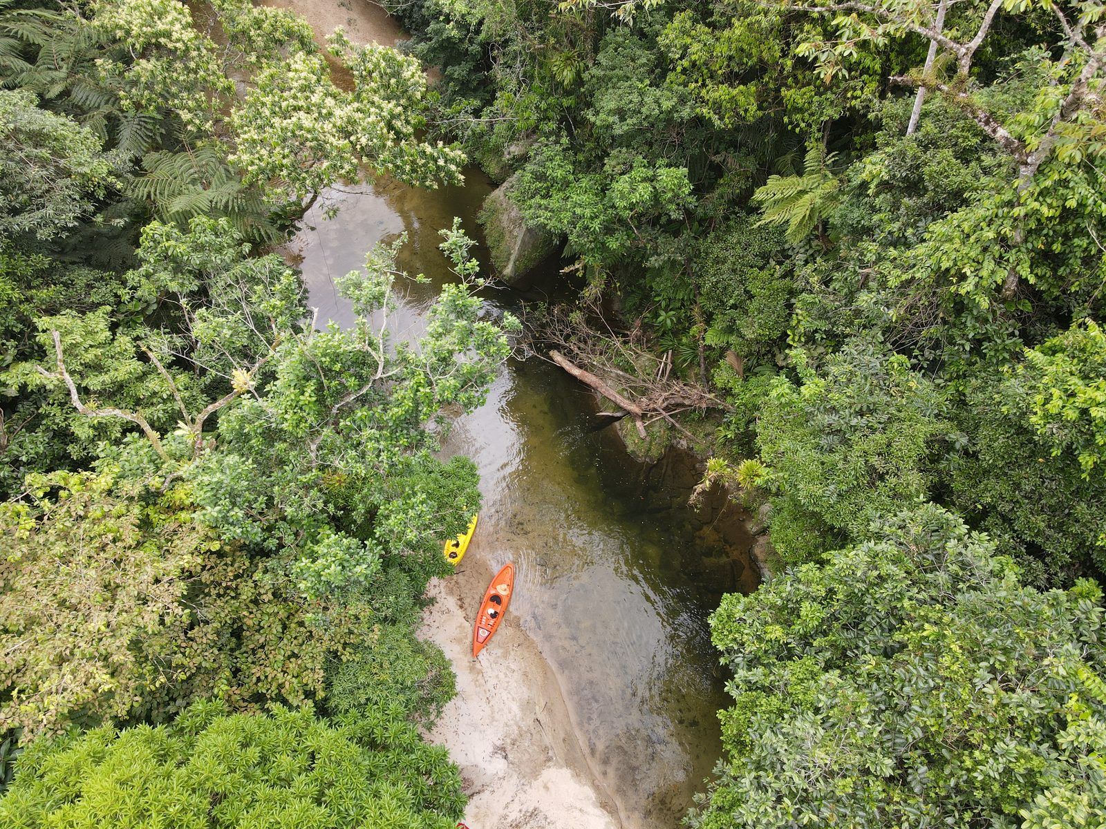 Passeio de caiaque em Rio Jaguareguava, Bertioga